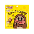 Shoei Delicy Chocolate Biscuit (Japan)