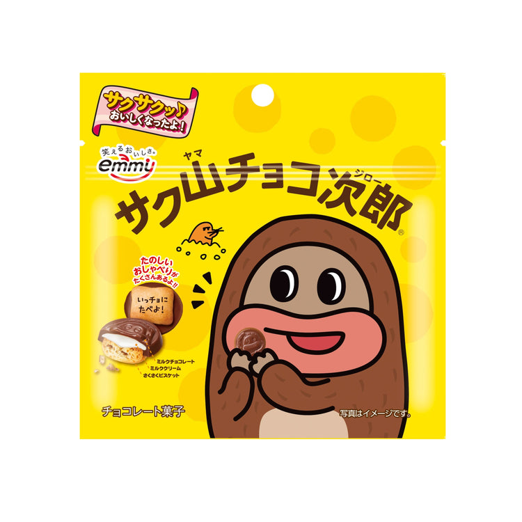 Shoei Delicy Chocolate Biscuit (Japan)